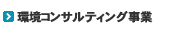 環境コンサルティング事業