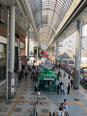 A view of the festival