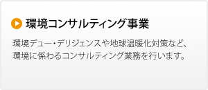 環境コンサルティング事業