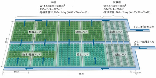 ビオパレットの全体図と必要面積