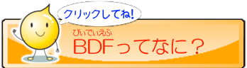 BDFってなに？