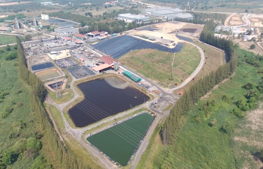 タイ事業の様子2