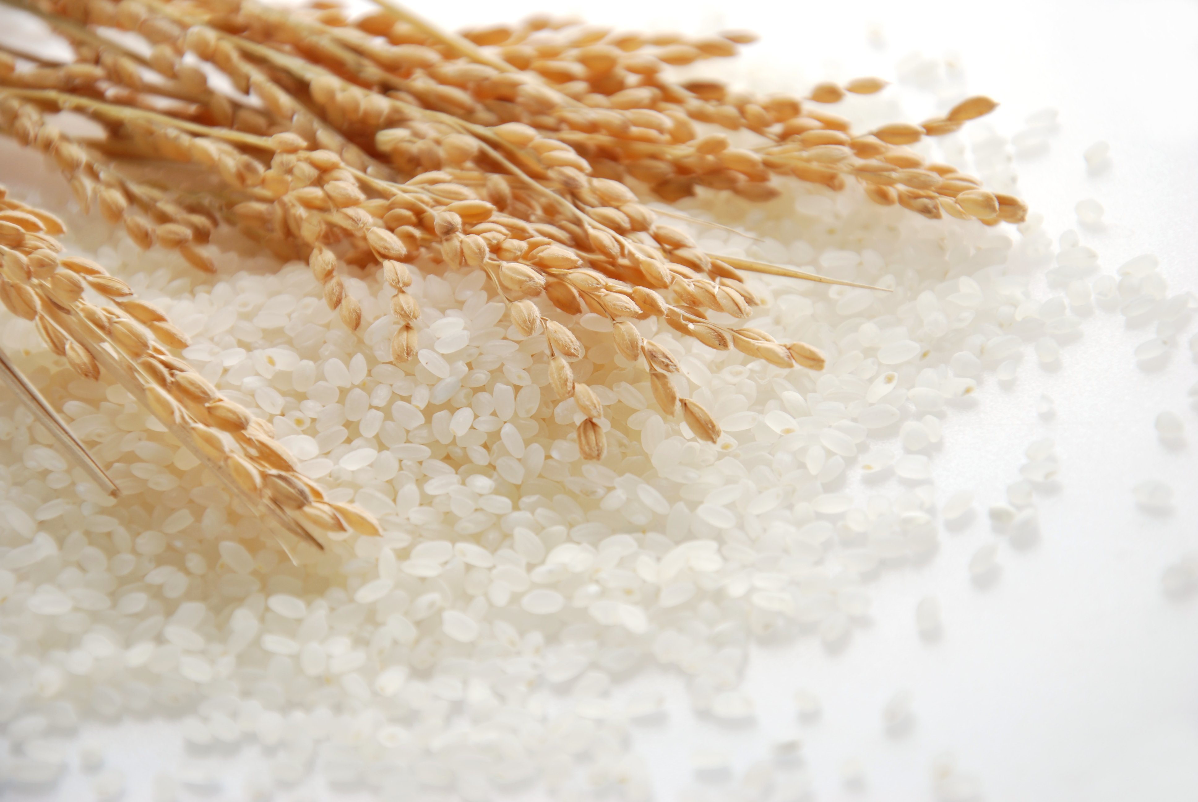 地域に根差したサービス